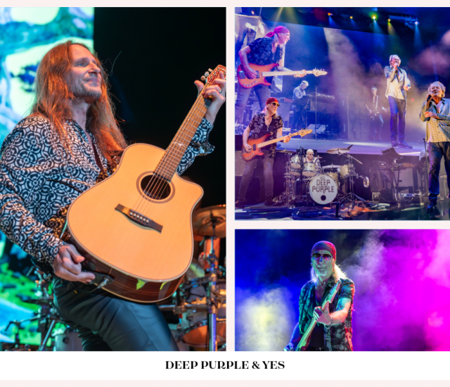 My project copy 2 (1)