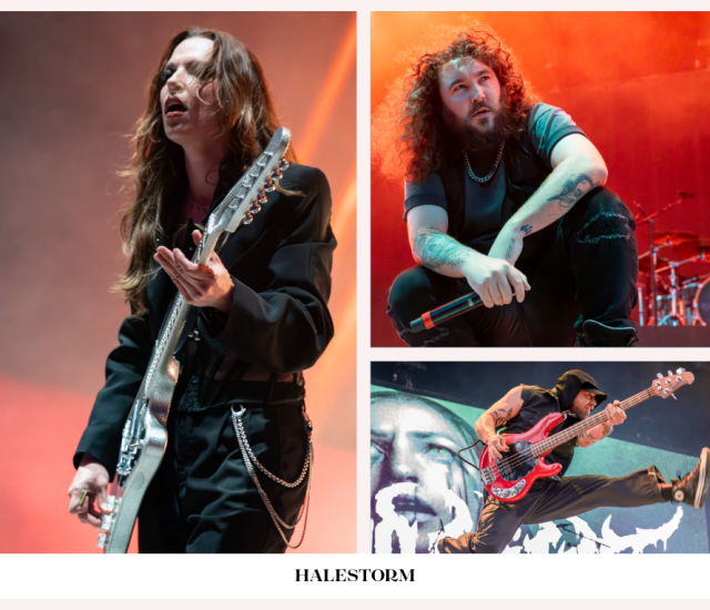 My project copy 2 (3)